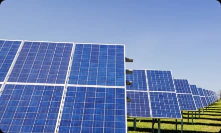 India Net-Zero Zone