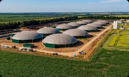 Biofuels Zone