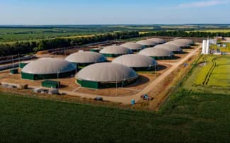 Biofuels Zone