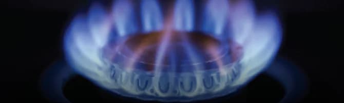City Gas Distribution Zone