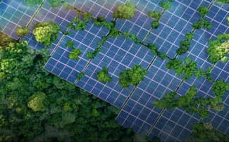 India Net-Zero Zone